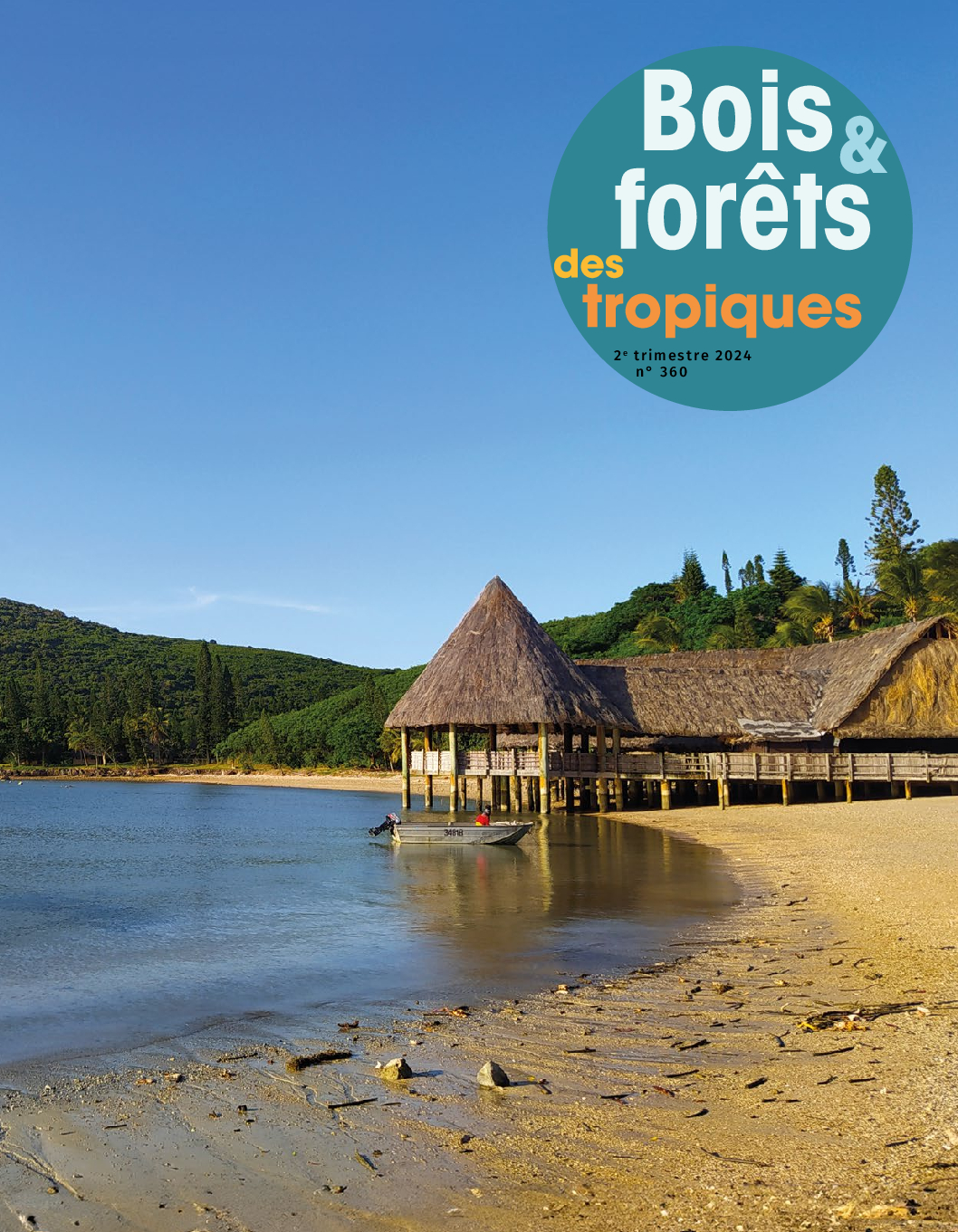 un-nouveau-numero-de-la-revue-du-cirad-bois-et-forets-bft-n360