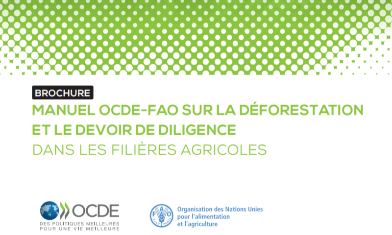 brochure-manuel-ocde-fao-sur-la-deforestation-et-le-devoir-de-diligence-dans-les-filieres-agricoles