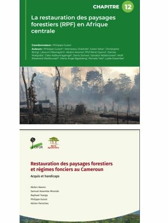publications-sur-la-restauration-des-paysages-forestiers-rpf-en-afrique-central-et-au-cameroun