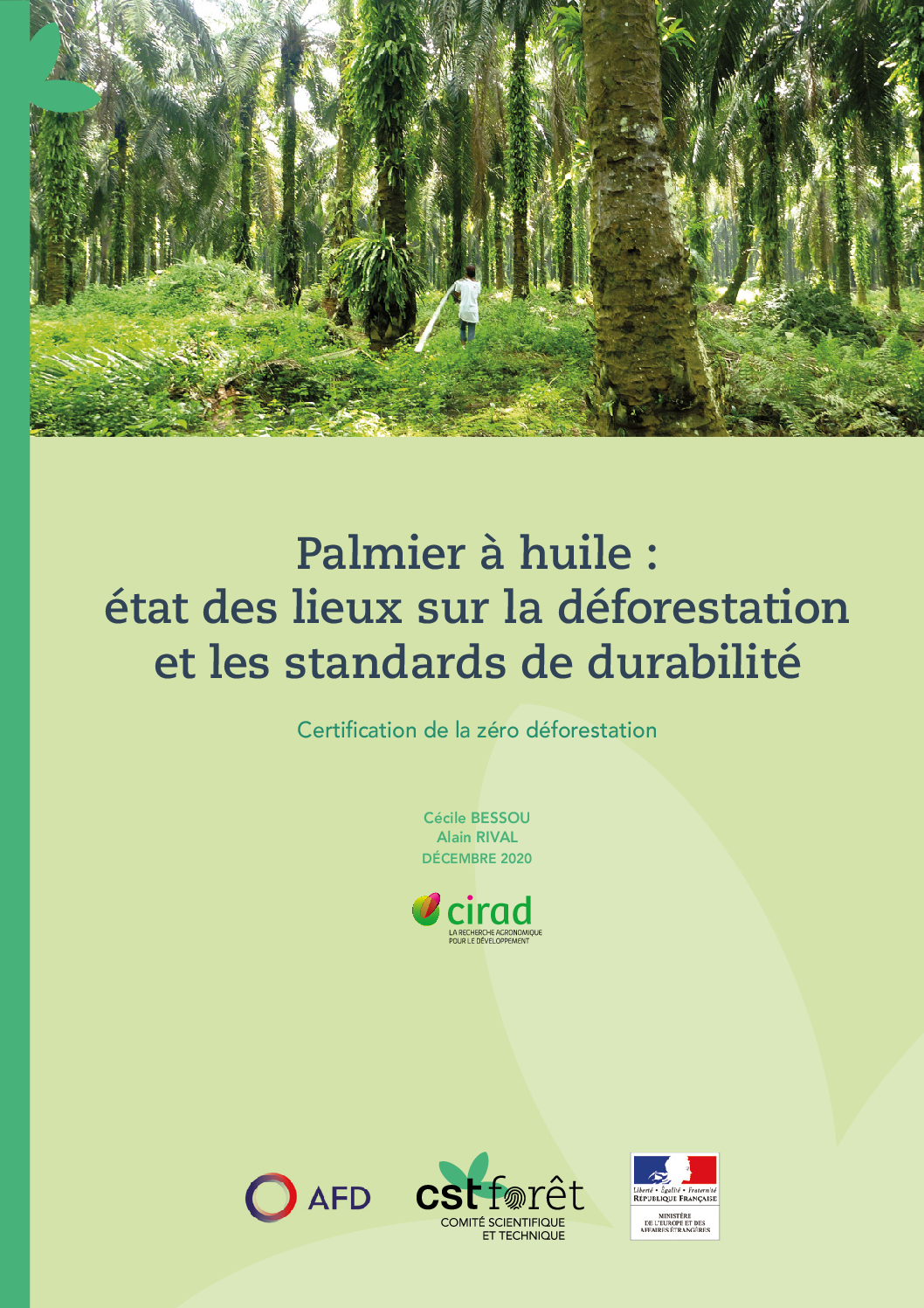 rapport-detude-palmier-a-huile-certification-de-la-zero-deforestation
