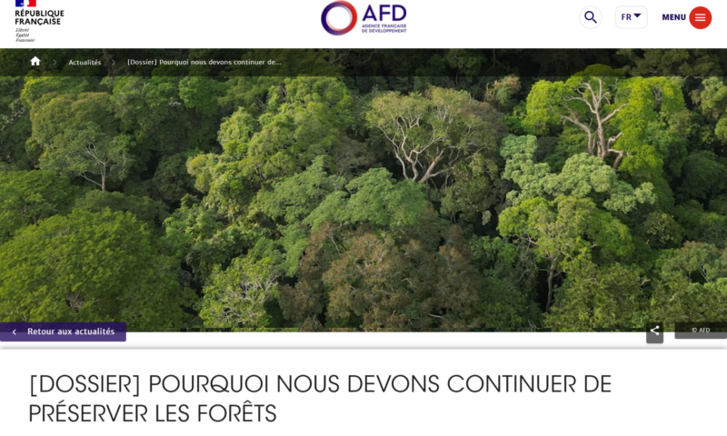 21-mars-journee-international-des-forets-pourquoi-nous-devons-continuer-de-preserver-les-forets