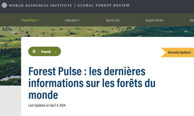 global-forest-review-combien-de-forets-ont-disparu-en-2023