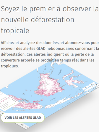 global-forest-watch-gfw-un-outil-pour-la-surveillance-forestiere