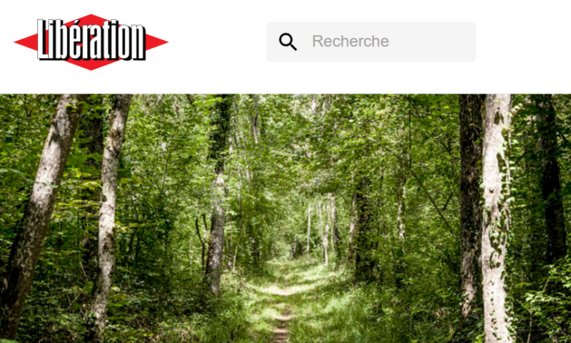 liberation-biodiversite-un-accord-trouve-par-lunion-europeenne-pour-restaurer-la-nature