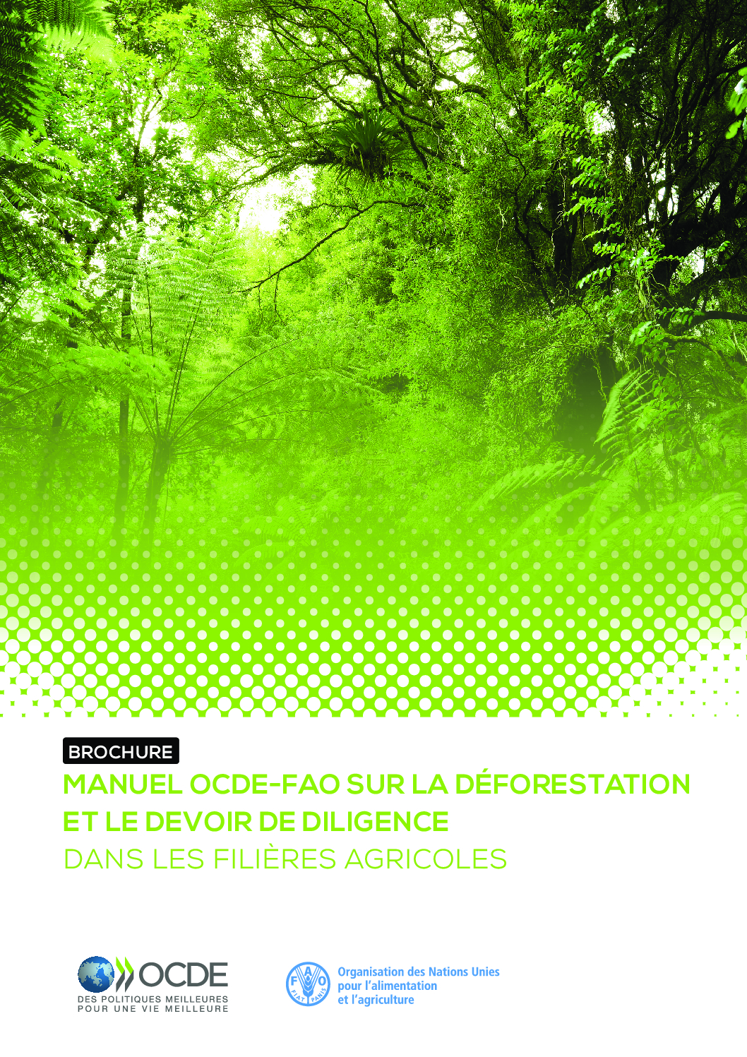 brochure-manuel-ocde-fao-sur-la-deforestation-et-le-devoir-de-diligence-dans-les-filieres-agricoles