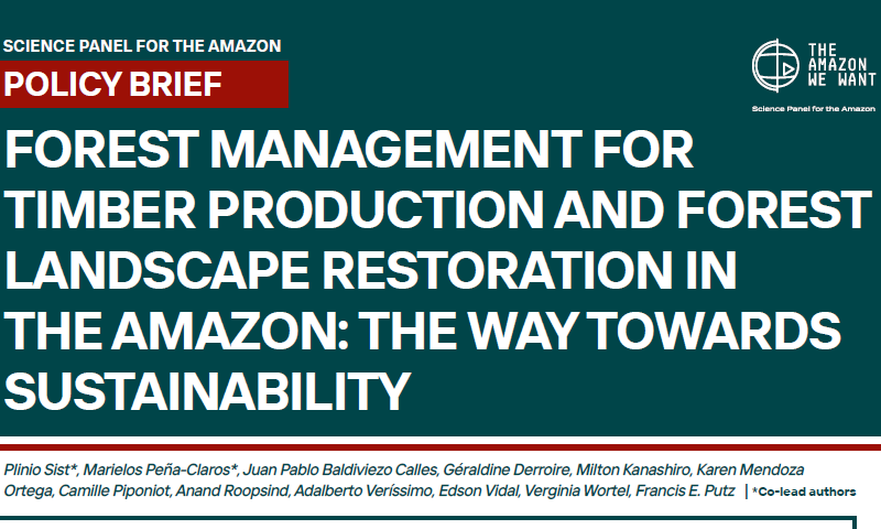 un-note-de-politique-pour-la-gestion-forestiere-et-la-rpf-en-amazonie-la-voie-vers-la-durabilite