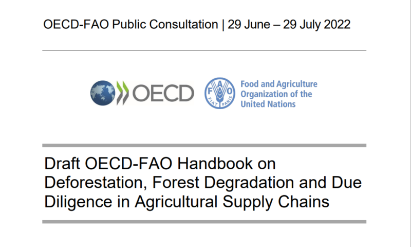 consultation-publique_manuel-ocde-fao-sur-la-deforestation-la-degradation-des-forets-et-le-devoir-de-diligence-dans-les-chaines-dapprovisionnement-agricoles