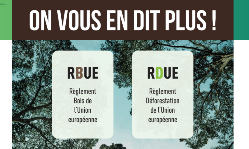 elements-de-decryptage-et-de-comparaison-du-rbue-avec-le-rdue