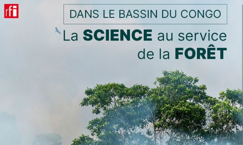 webdoc-rfi-la-science-au-service-de-la-foret-dans-le-bassin-du-congo