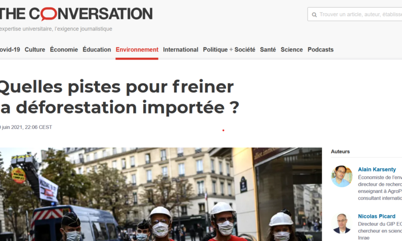 quelles-pistes-pour-freiner-la-deforestation-importee