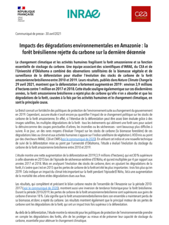 une-etude-sur-les-impacts-des-degradations-environnementales-en-amazonie-2010-2019