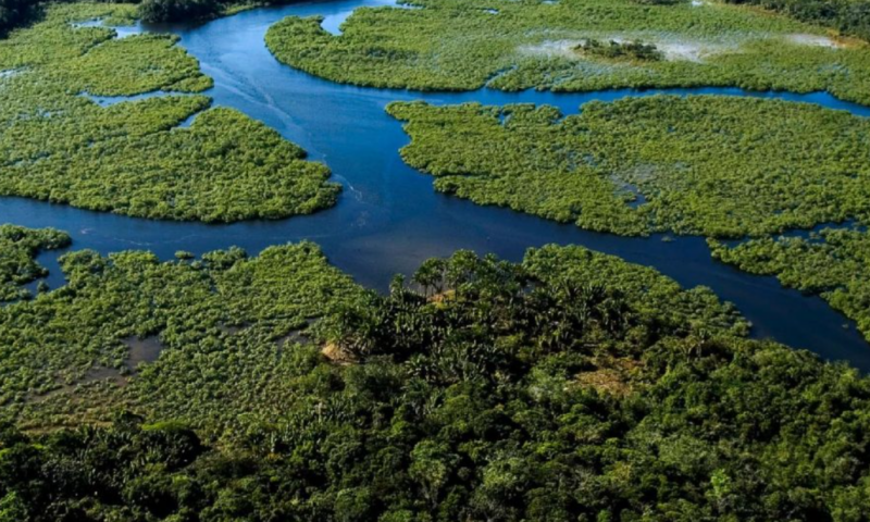 la-foret-atlantique-bresilienne-encore-plus-menacee-que-prevu