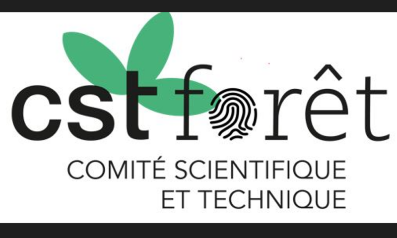 webinaire-du-comite-foret-sur-la-gestion-et-la-rpf-en-afrique-central