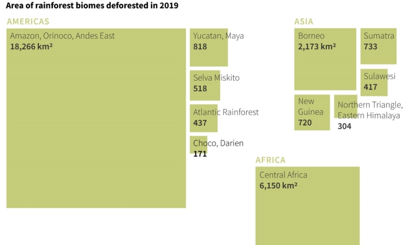 les-deux-tiers-de-la-foret-tropicale-detruits-ou-degrades-dans-le-monde