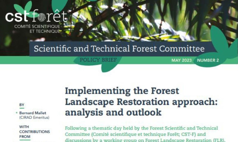 la-note-de-politique-sur-la-restauration-des-paysages-forestiers-traduite-en-anglais-et-en-espagnol